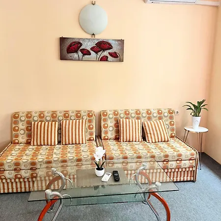 Family House Cherry 3*