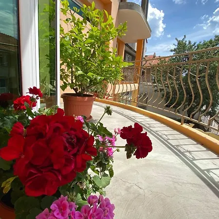 게스트하우스 Family House Cherry